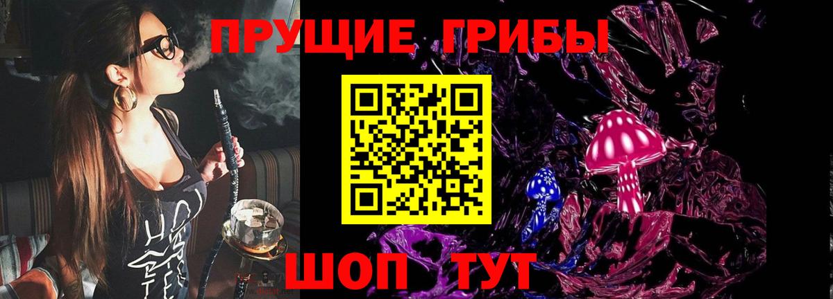Псилоцибиновые грибы прущие грибы  Вход с VPN  Владикавказ  Псилоцибиновые грибы прущие грибы 